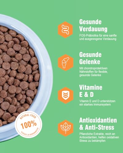 REVER Trockenfutter für ausgewachsene Hunde, getreidefrei, 65% Tierprotein – Ansicht 3
