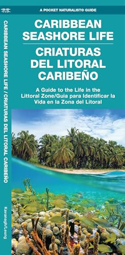 Caribbean Seashore Life / Criaturas Del Litoral Caribeño (Nature Observation International)