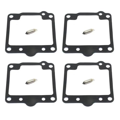 Joint de pointeau flottant et kit réparation carburateur GN250