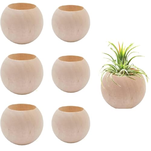 Nwsrayu 6 pcs 2 Sizes Wood Air Plant Holder Rustic Air Plant Pots Decorative Air Plants Display Containers Table Centerpiece for Home Office Tabletop