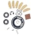 Ingersoll Rand - Motor Tune Up Kit For Irt231/231-2 With Bearings (231-TK3)