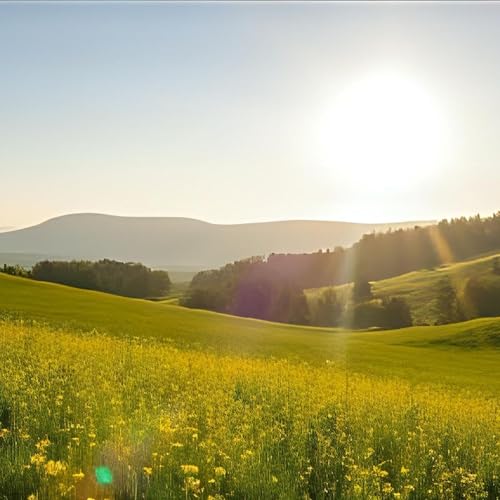 S4E15 &mdash; Over muziek, Human Design en mijn Levenswerk van Integriteit