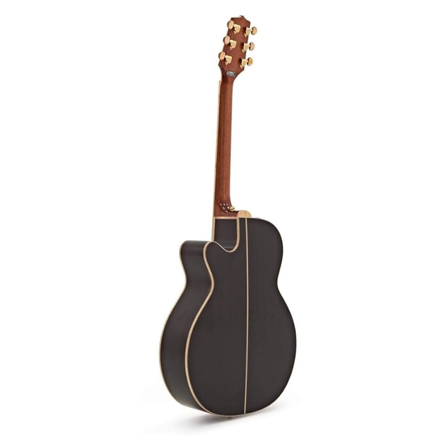 takamine エレキギター Amazon | Takamine タカミネ G Series GN71CE NEX Cutaway