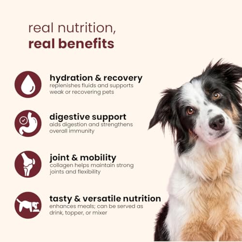 Image of Nootie Chicken Bone Broth for Dogs & Cats | Slow-Simmered 12+ Hours | Collagen + Glucosamine | Gut Health & Joint Support | Hydrating Meal Topper | Preservative-Free | Pack of 3