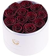 Sunia Forever Rose, Rose Regalo per Lei - Rosa Reale Stabilizzata Regalo Romantico Eterno per Fid...