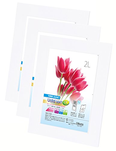 Chikuma フォトフレーム UclidマットEX 2L ブライトホワイト 3冊セット 30044-1