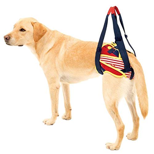 大型 犬 パンツ ペットの人気商品 通販 価格比較 価格 Com