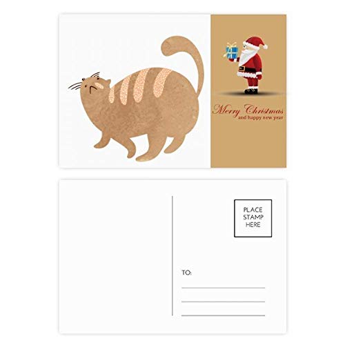 Cartes postales Fat Cat Animal lot de 20 illustrations marron pour correspondance