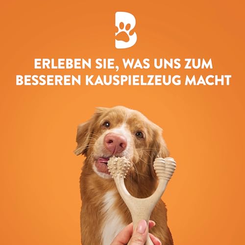 BetterBone - Hundespielzeug zum Kauen - Small Hard Beef - Kauknochen Hund Nylon- & GMO-frei auf Zellulosebasis - Kauspielzeug extra hart mit Rindfleischgeschmack - Kauholz Splitterfrei & langlebig