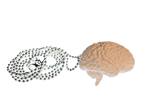 Collier Cerveau Miniblings chaîne 80cm pour affirmer son style QI