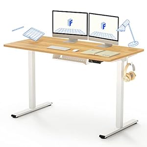 FLEXISPOT Basic Plus