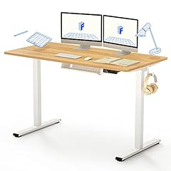 FLEXISPOT E150M-4024-FR Schreibtisch...