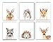 Designs by Maria Inc. Woodland Floral Crown Animals Nursery Decor Watercolor Art Posters | Set of 6 (Unframed) 8x10 Prints