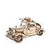 BW-King 3D Puzzle en Bois Horloge Modèle Bricolage à La Main en Bois Modèle De Transmission Mécanique Jouet Temps Perpétuel Pendule Horloge Pièce Jeunesse pour Créer Anniversaire-G