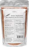 NuSci Green Tea Extract Bulk Powder Standardized 98% Polyphenols and 50% EGCG GMO Free Non-Irradiated (100 Grams (3.52 oz))