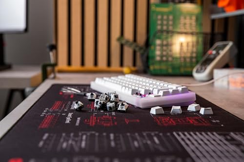 Cherry MX RGB Switch Kit, Box with 23 Mechanical Keyboard Switches, for DIY, Hot Swap or Gaming Keyboard (MX Black Clear Top)