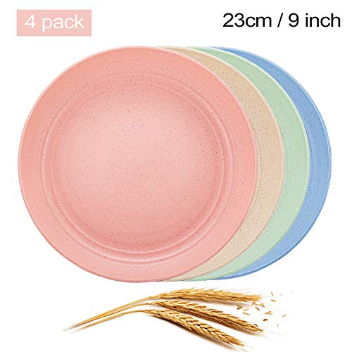 Best Plastic Plate For Work