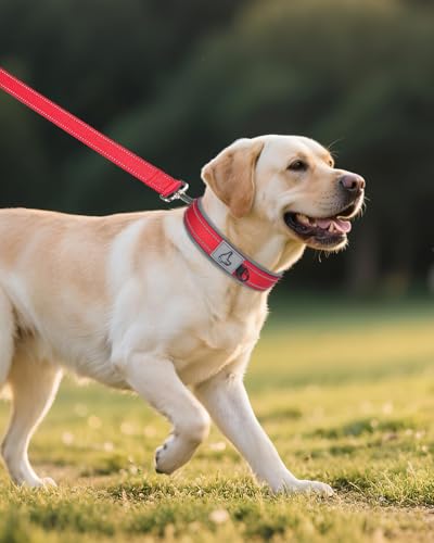 Image of Joytale Dog Collar for Large Dogs, Neoprene Padded and Adjustable, Reflective Wide Heavy Duty Pet Collars with Durable Metal Belt Buckle for Walking, Red, L
