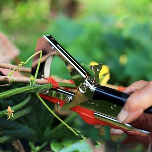 Máquina manual para atar plantas con 10000 grapas y cintas miniatura 5
