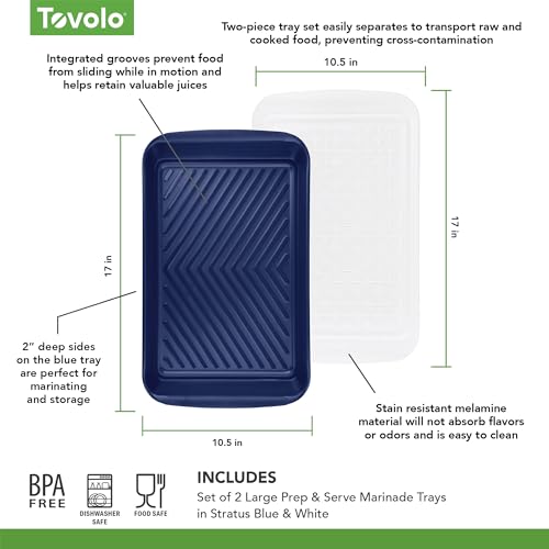 Image of Tovolo Steak Marinating Container Large Grill Marinade and Prep Tray Set for Meat Veggies Burgers, Dishwasher Safe BBQ Marinating Tray with Cover for Thawing Prepping or Serving 17x10.5 in