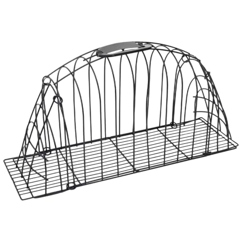 Toyvian ϖՃXeXLpoXP[W LpO[~OoXP[W yʃ|[^u݌v ybgpV[P[W ܐ؂ |pT