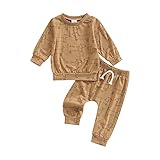 FOCUSNORM Infant Baby Boys Fall Clothes Set Dachshund Print Pullover Sweatshirt Top Pants 2Pcs Dogs