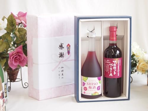 �~�̑��蕨���Ε� ���ӂ̑��蕨�{�b�N�X �b��杂̔~���ƍ��Y���C���Z�b�g(�R�����Y����100���g�p �}�X�J�b�g�x�[���[A�ԃ��C�� ���C�g�{�f�B(�R����)720ml�b��杔~��720ml