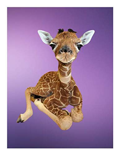 Baby Giraffe Purple Edible Image For Quarter Sheet Cake!