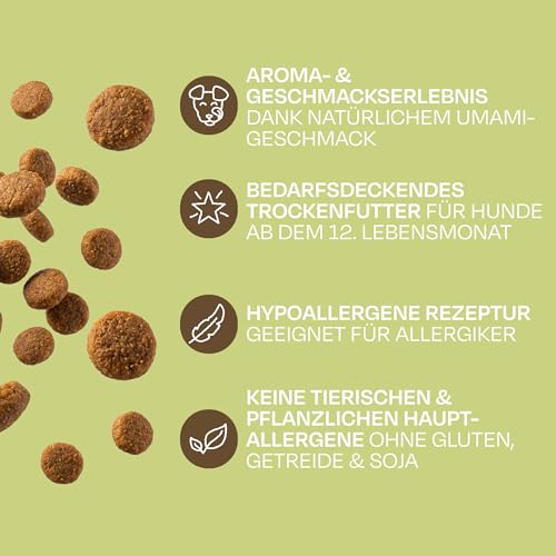 VEGDOG Green Crunch Trockenfutter, für Allergiker, Erbsenprotein, 4kg