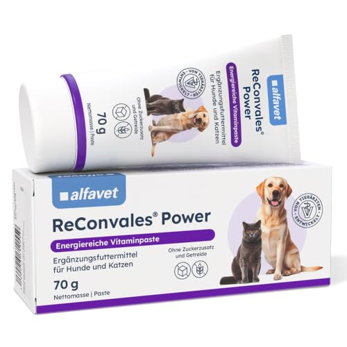 Alfavet ReConvales Power Paste - Ergänzungsfutter für Hund & Katze, 70 g
