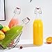 YEBODA Clear Glass Bottles with Stopper For Home Brewing Beer Kombucha Kefir & Airtight Silicone Seal 32 oz(4 Set)