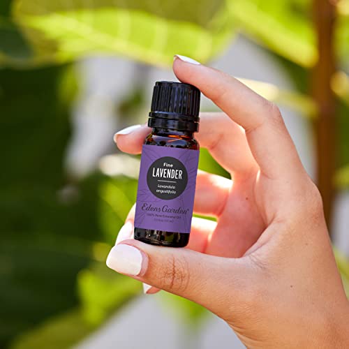 Edens Garden Lavender- Fine Essential Oil- 100% Pure Premium Grade, Undiluted, Natural, Therapeutic, Aromatherapy, The Best for Diffuser, Candle, Humidifiers, Kid Safe 10 ml (.33 fl oz) - Image 3