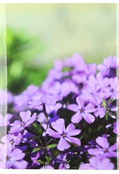 Hardcover Color Fields Book