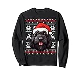 Photo Gallery cappello di babbo natale nero russo terrier divertente cane mamma papà felpa Photo Gallery cappello di babbo natale nero russo terrier divertente cane mamma papà felpa