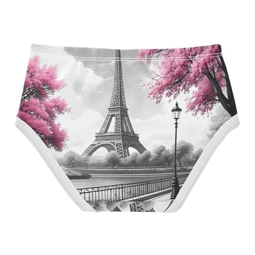 Girls Underwear Toddlers 2t Cotton Girl Panties Cute Durable Kids Briefs Undies Eiffel Tower Painting Paris Grey2