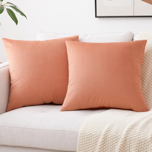 Image of Mixhug Decorative Throw Pillow Covers, Velvet Cushion Covers, Solid Throw Pillow Cases for Couch and Bed Pillows, Pale Coral, 20 x 20 Inches, Set of 2