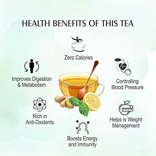Image of APSARA Lemon Mint Ginger Green Tea Bags 10 pcs Herbal Tea For Immunity Boosting 10 Tea Bags