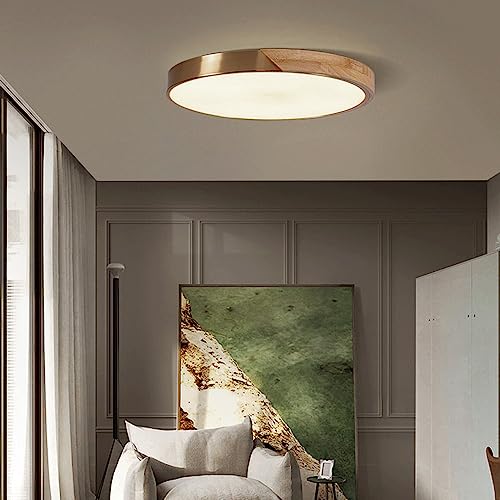 Lámpara de techo minimalista y creativa Yre de madera con panel plano led de 16.5'' 6