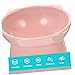 BESPORTBLE Elevated Tilted Cat Food Bowl Stylish Feeding Dish for Cats and Dogs Ergonomic Design of All