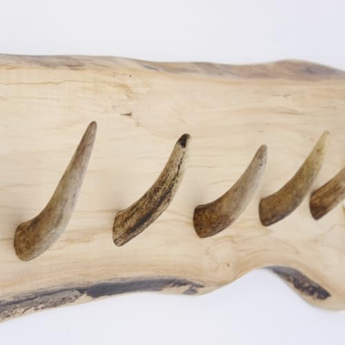 GTK - Geweihe & Trophäen KRUMHOLZ Geweih Garderobe mit 6 Haken aus Rothirschspitzen auf Holzbrett Rehgeweih Wandgarderobe Unikat 27.8.89