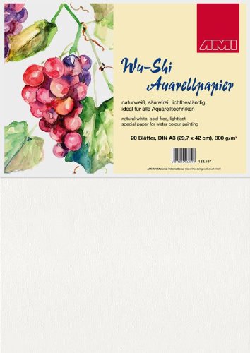 Aquarellpapier Wu-Shi 300g, 50x70cm, 20Bg.