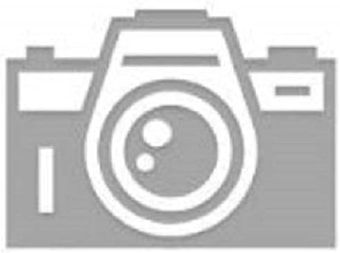 Ratherbee Santa Kicker Catnip Toy, 11-Inch, for Cats, One