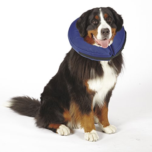 Total Pet Health aufblasbares Hunde Halsband – von Tierärzten genehmigt. Dieses Halsband soll das beißen und kratzen an Verletzungen, Stichen, Wunden, und Ausschlägen bei Hunden verhindern.