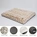 BingoPaw Hundebett mittelgroße Hunde waschbar: Hundekissen flauschig Hundematte für kleine Hund, wasserdicht Hundematratze mit abnehmbar Plüsch Bezug und rutschfest Unterseite, Beige, 76x51x10 cm