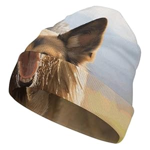 Full Printed Knitted Hat, Running German Shepherd Dog Print Classic Knitted Hat Fashion & Function Combined White