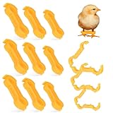 Facile à utiliser : l'attelle pour pattes de poulet est conçue pour une mise en place et un retrait faciles, se fixe solidement autour des pattes, accessoires pour vos poules, petites bandes pour pattes de poussins