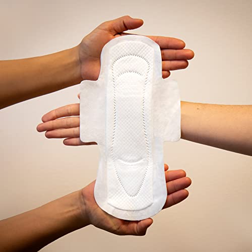 Naty Umstandsbinden – Schwangerschafts- und Wochenbetteinlagen für die Pflege und Erholung der Mutter, Saugfähige Pads für Auslaufschutz (10 Stück)
