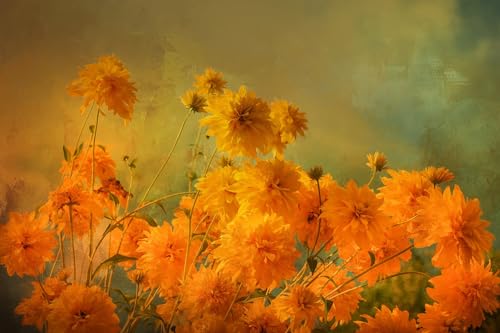 A Vision in Orange Fabric Panel - FLR-020, Size 20