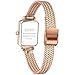 LN LENQIN Relojes Mujer Acero Inoxidable Reloj de Mujer Resistente Al Agua Reloj de Cuarzo AnalóGico Correa de Malla Imagen de LN LENQIN Relojes Mujer Acero Inoxidable Reloj de Mujer Resistente Al Agua Reloj de Cuarzo AnalóGico Correa de Malla