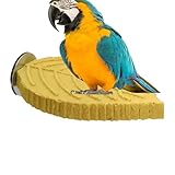 Perchoir à calopsitta – Jeux de jouets en résine en forme de plante, perruches à perruches | pour perruches, cônes inséparables, ara – limage du bec et entretien des griffes